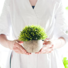 Load image into Gallery viewer, Artificial Mini Plants