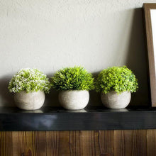Load image into Gallery viewer, Artificial Mini Plants