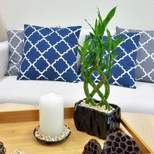 Load image into Gallery viewer, Bamboo Tabletop Plant