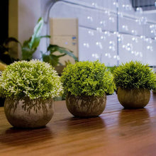 Load image into Gallery viewer, Artificial Mini Plants
