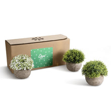 Load image into Gallery viewer, Artificial Mini Plants
